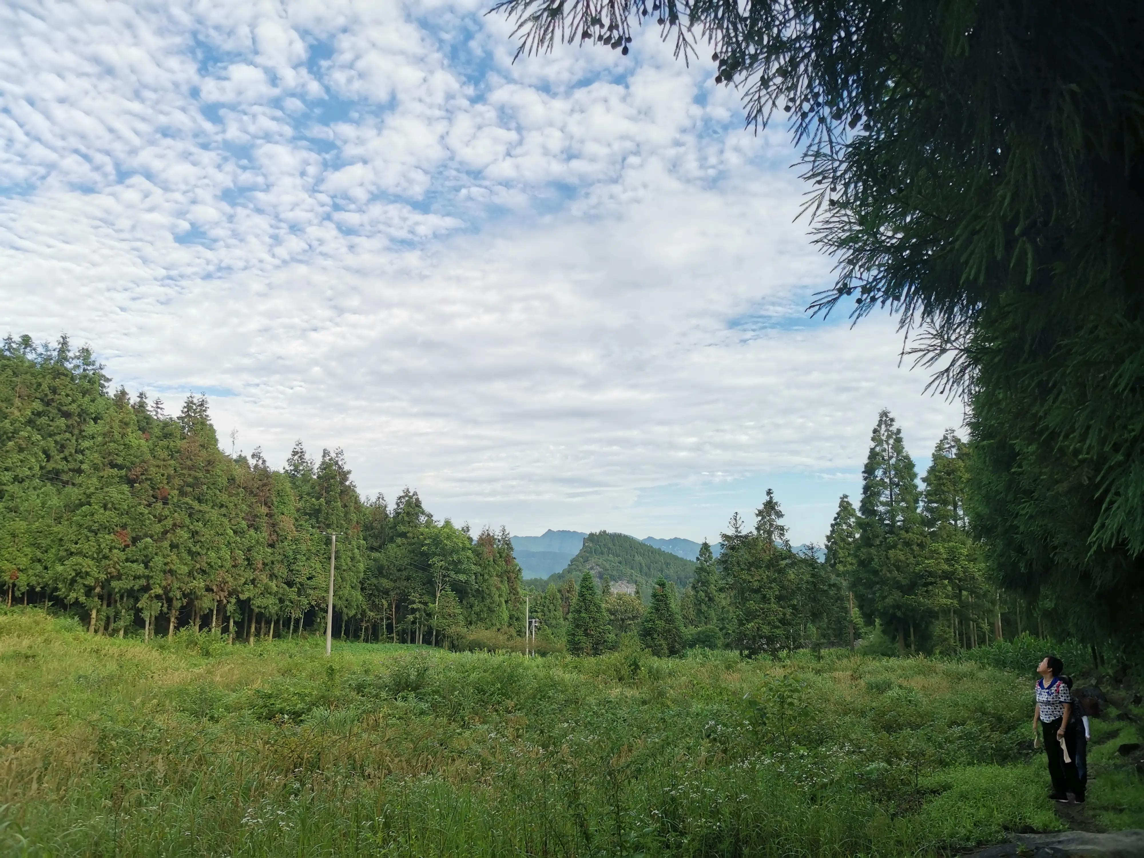 去贵州桐梓避暑哪里最好,桐梓包吃住避暑民宿