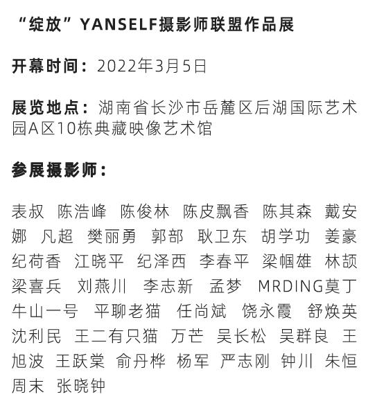 我们为什么要拍照片,我们为什么要拍照呢完整版