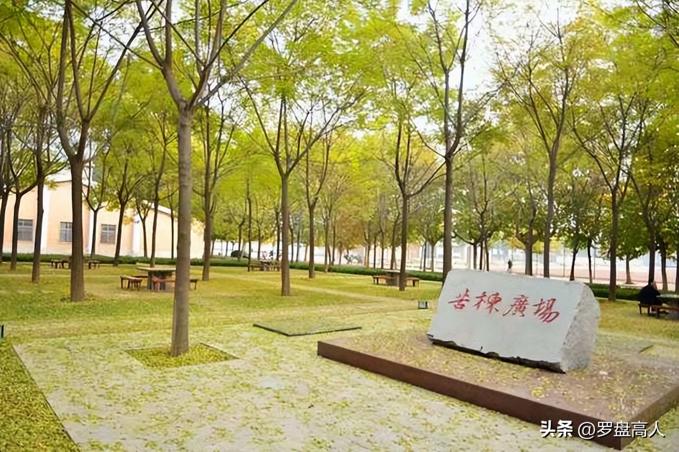 高校校园影像,高校美景照片视频