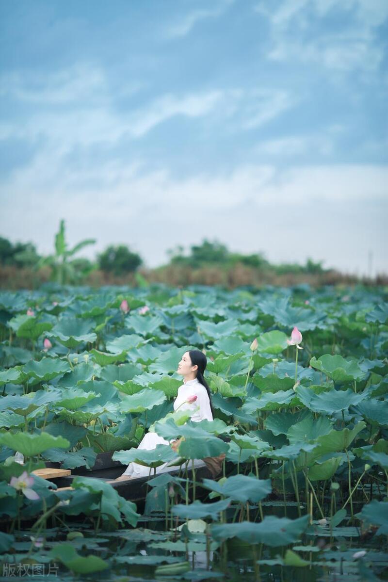 从广州佛山出发的旅游攻略,广州鹤山市旅游