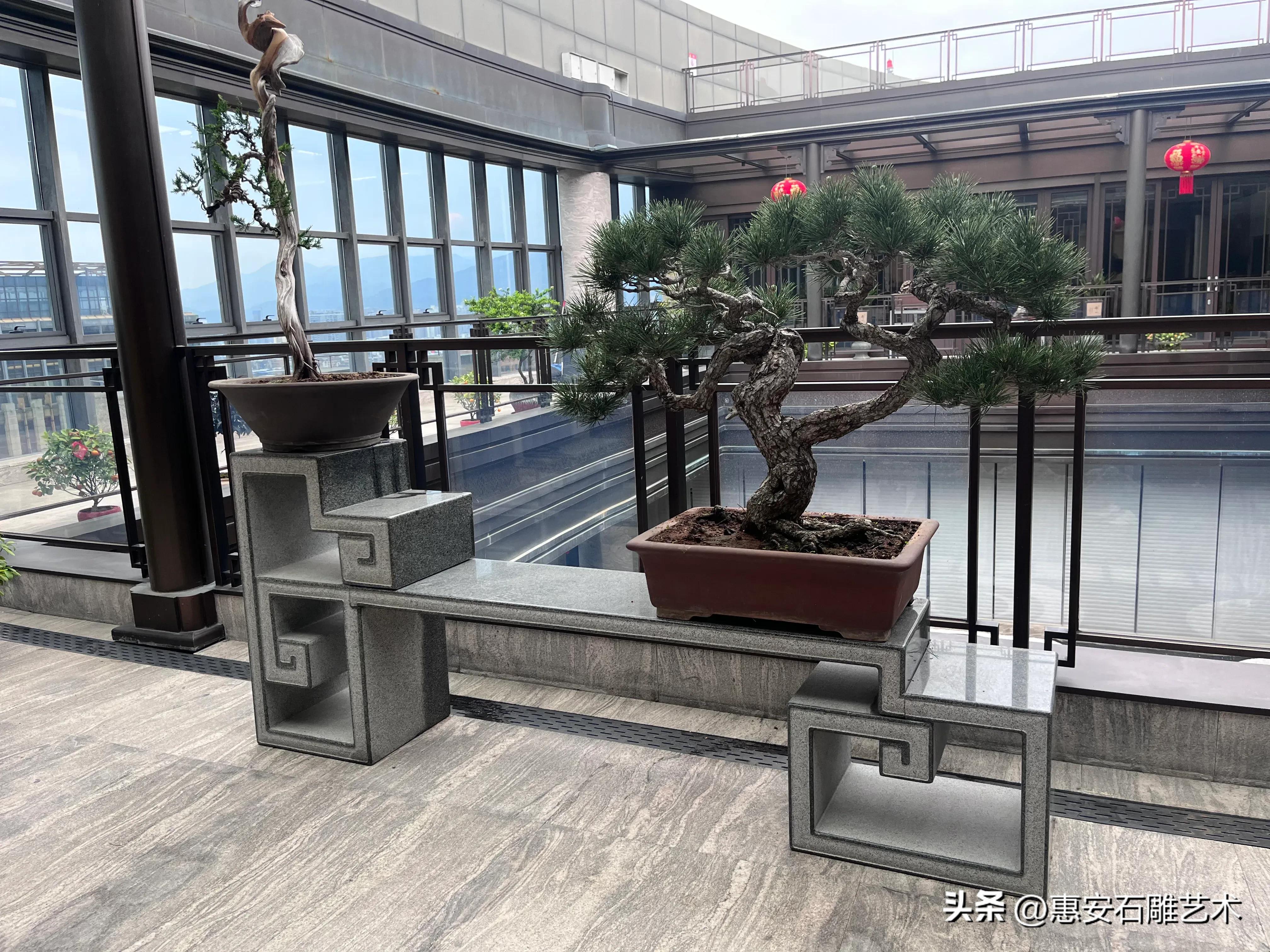 庭院盆景花架,庭院布置花架