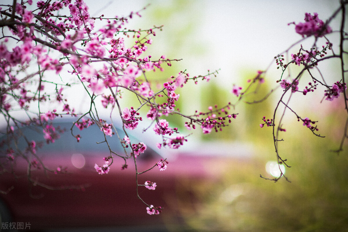 人生为什么会觉得无趣,当你觉得人生无趣