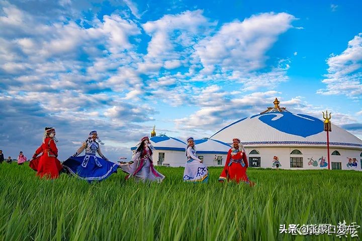 来坝上草原的第二天,来内蒙古天空草原感受慢生活