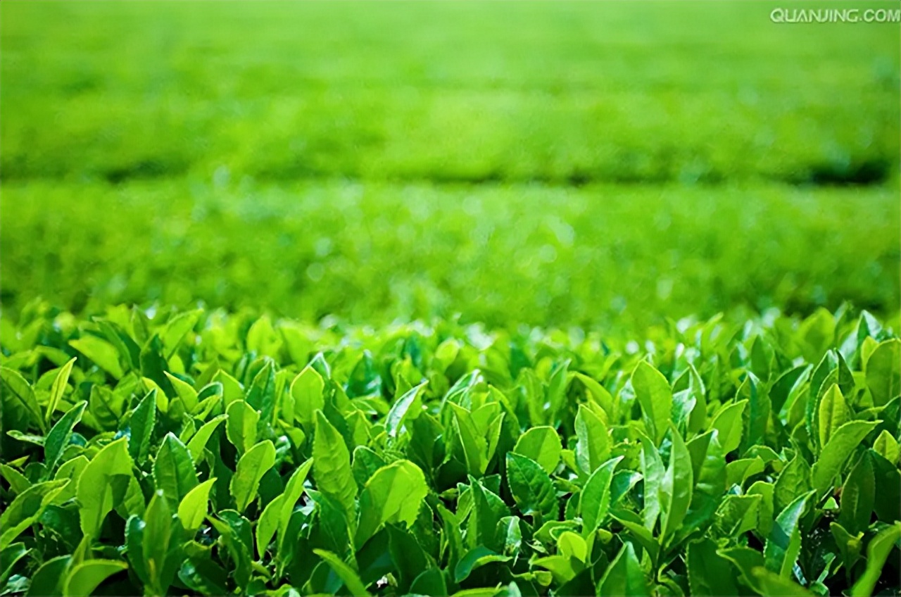 被抛弃的3000国军残部，留下6万后*开代**发美斯乐：店铺招牌是中文