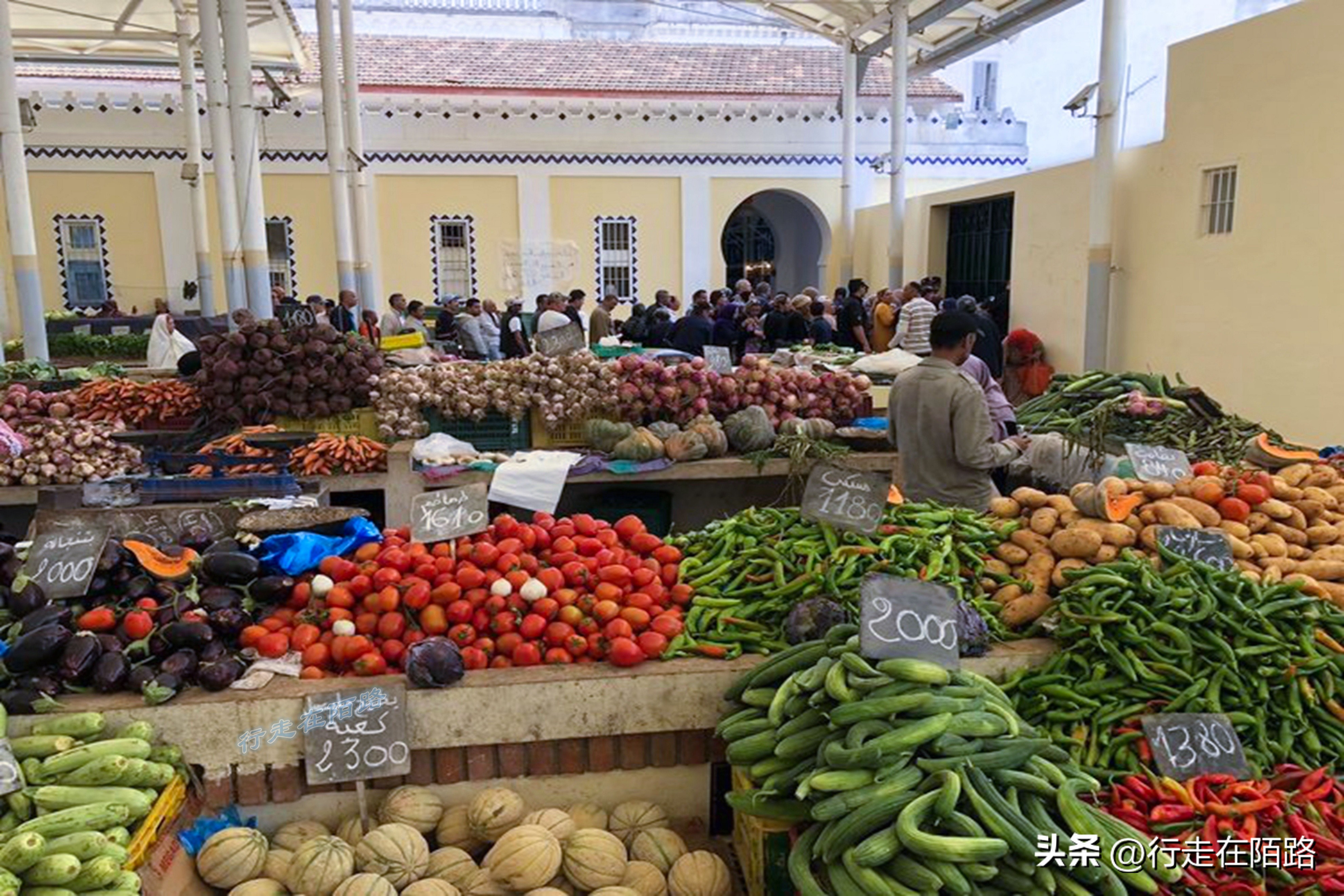 非洲突尼斯：不太一样的穆斯林国家，面积小人口少物价低
