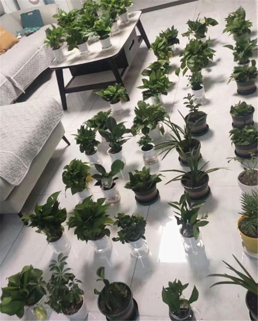 新房应不应该除甲醛,房屋清甲醛公司除甲醛是智商税吗