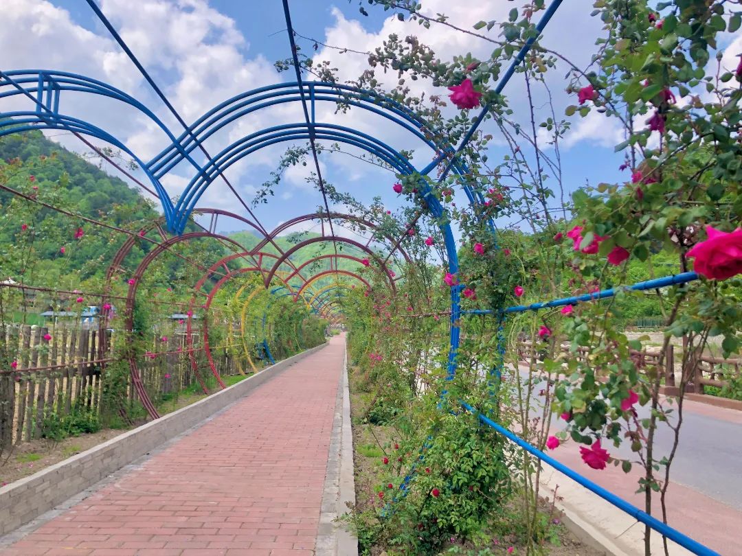 这才是清凉夏天的打开方式,清凉一夏夏天的正确打开方式