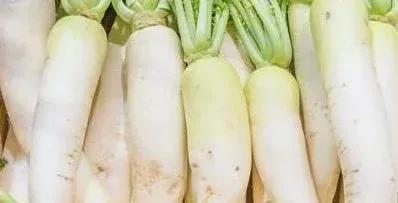 泡萝卜需要什么发酵,泡萝卜要不要用盐腌制一下