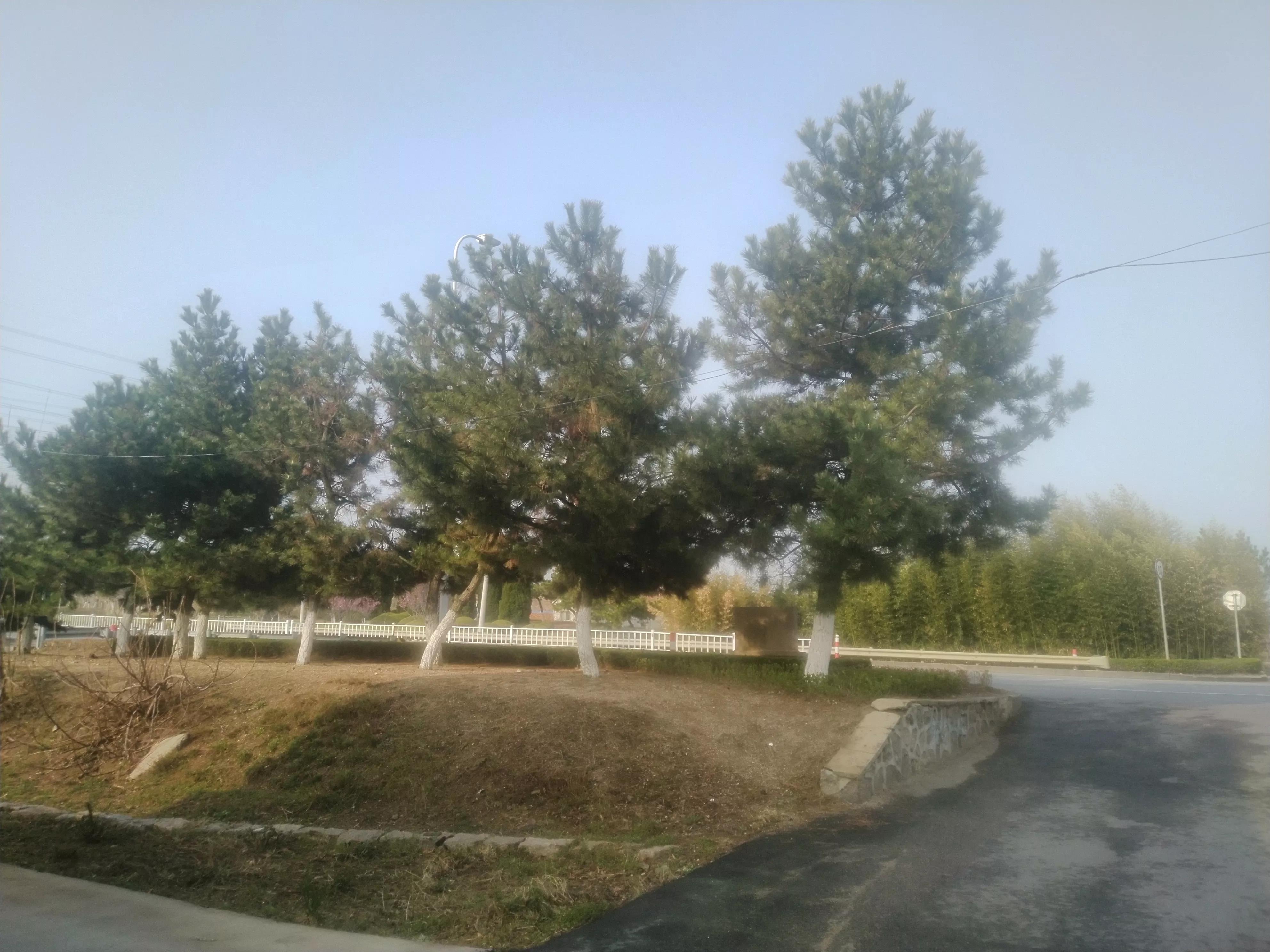 参观康桥,参观上海滩之后的感想