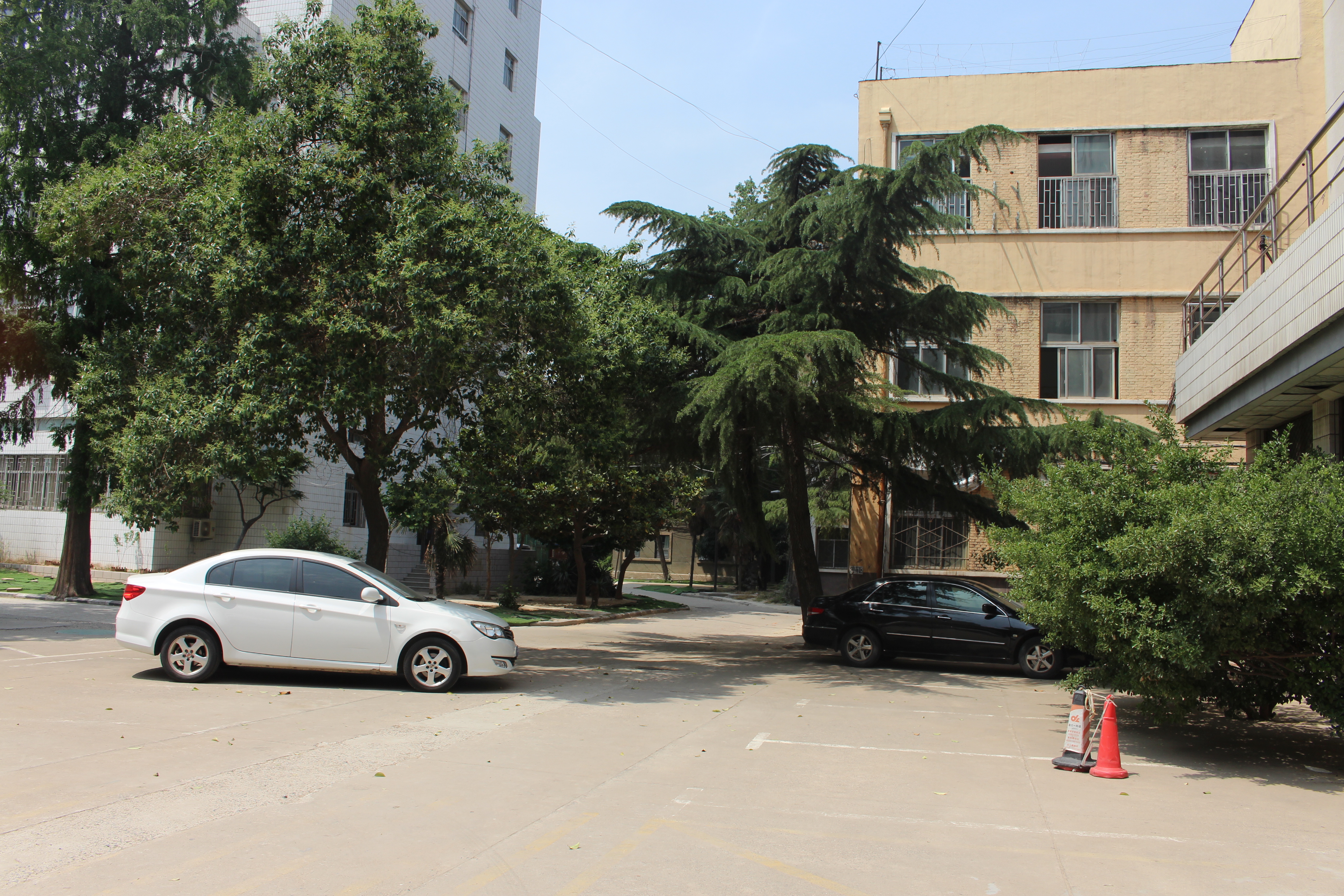 涓笀鐢熺殑鍘嗗彶鍥炲繂,涓笀鐢熷洖蹇嗗綍鍏ㄦ枃