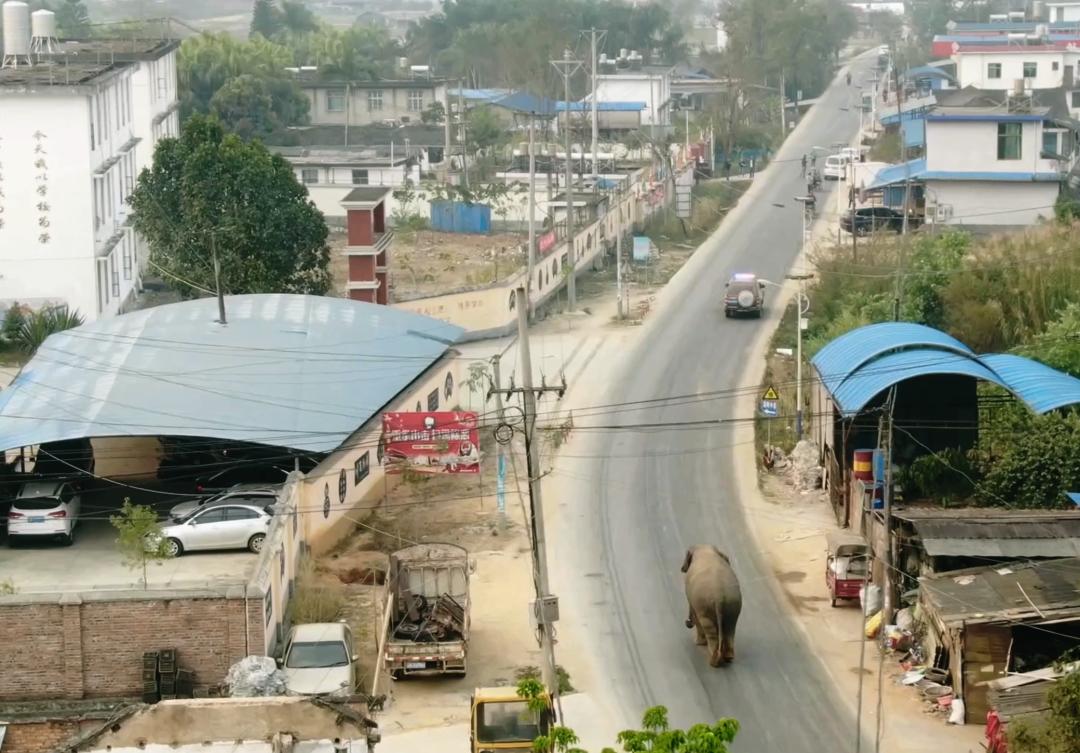 中国人冒死拍的纪录片,一群中国人冒死拍摄