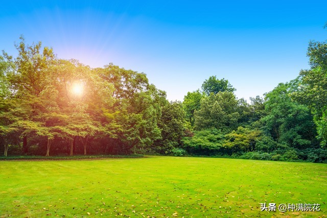 网络信息带来的利与弊,如何看待网络信息焦虑