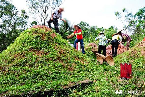 清明扫墓讲究颇多,“3做5禁忌”一个都不能错,今天你做对了吗