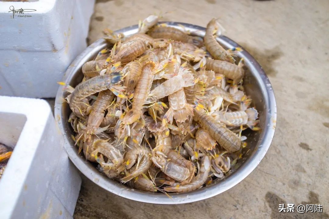 <html>
<head><title>502BadGateway</title></head>
<body>
<center><h1>502BadGateway</h1></center>
<hr><center>nginx</center>
</body>
</html>
<!--apaddingtodisableMSIEandChromefriendlyerrorpage-->
<!--apaddingtodisableMSIEandChromefriendlyerrorpage-->
<!--apaddingtodisableMSIEandChromefriendlyerrorpage-->
<!--apaddingtodisableMSIEandChromefriendlyerrorpage-->
<!--apaddingtodisableMSIEandChromefriendlyerrorpage-->
<!--apaddingtodisableMSIEandChromefriendlyerrorpage-->
