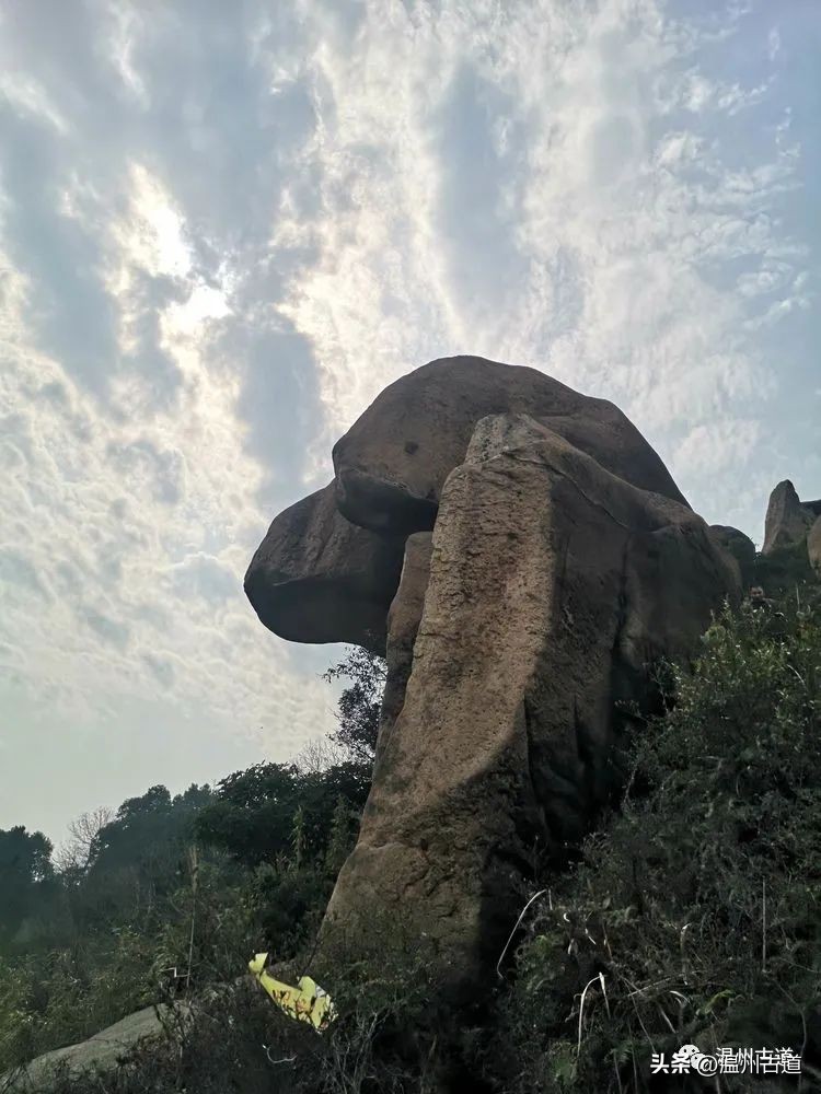 温州网红盘山公路,温州十大徒步爬山路线