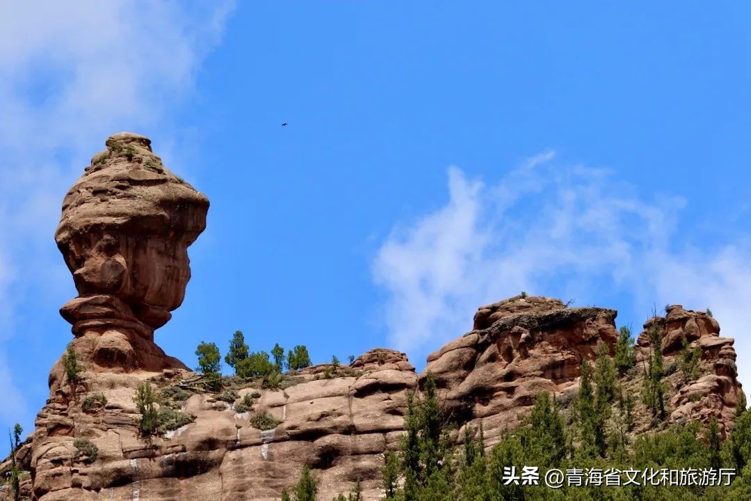 中国旅游日文旅局活动文案,中国旅游日的文章