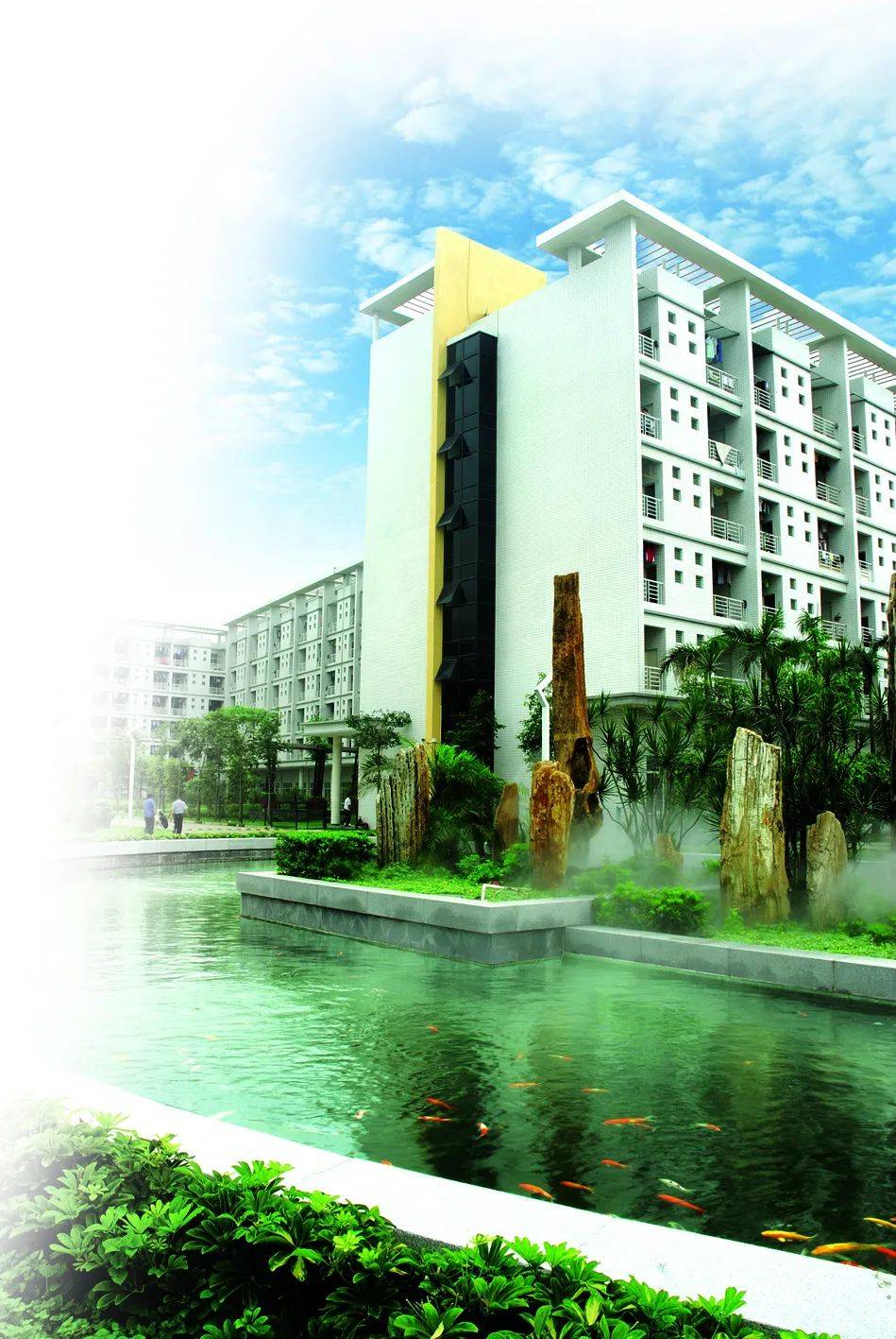 京城宝哥直播,京城宝哥李宝敏最新视频