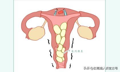 女生的身体，到底有多少不合理的东西？