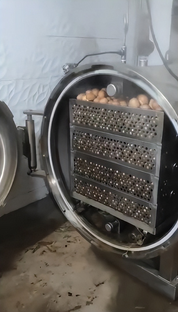 富硒鸡蛋适合孕妇,正宗蓟县麻酱鸡蛋