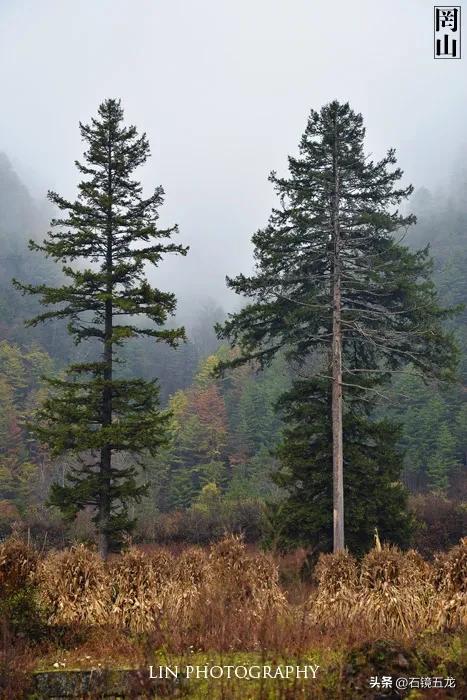 周至老县城露营,周至老县城厚畛子镇