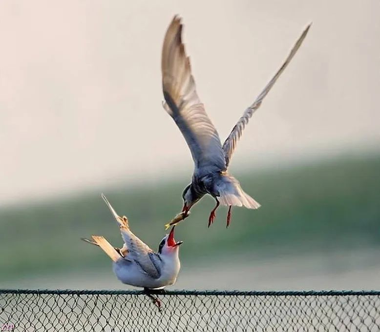 最美中国年摄影作品,大美中国全国摄影大赛