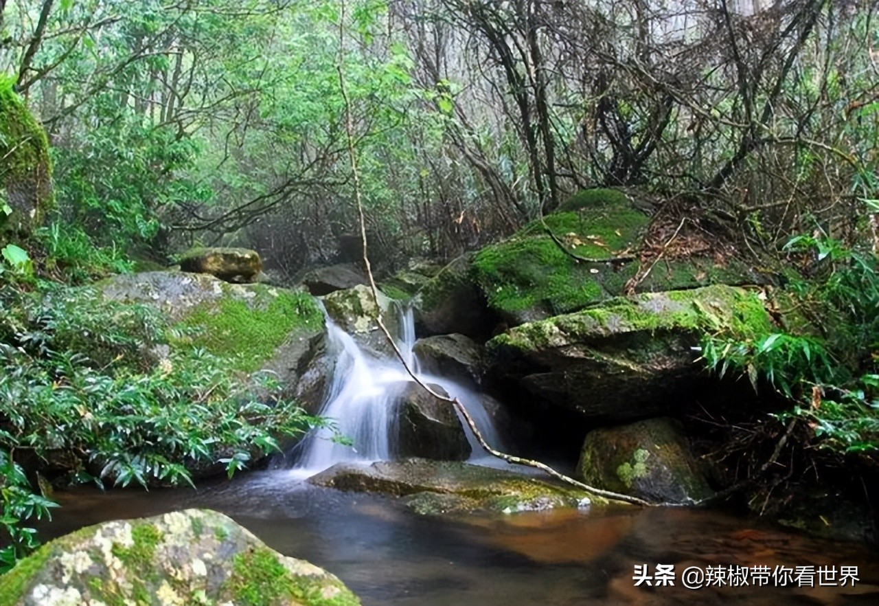 惠州市海岸线,惠州的海岸线