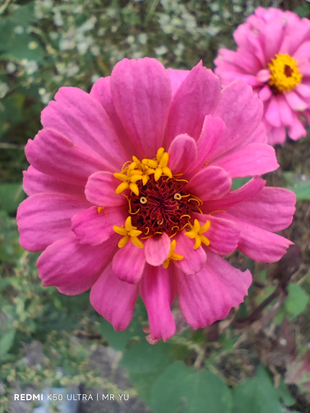 红米k50至尊版各方面实测,红米k50至尊版使用后评价