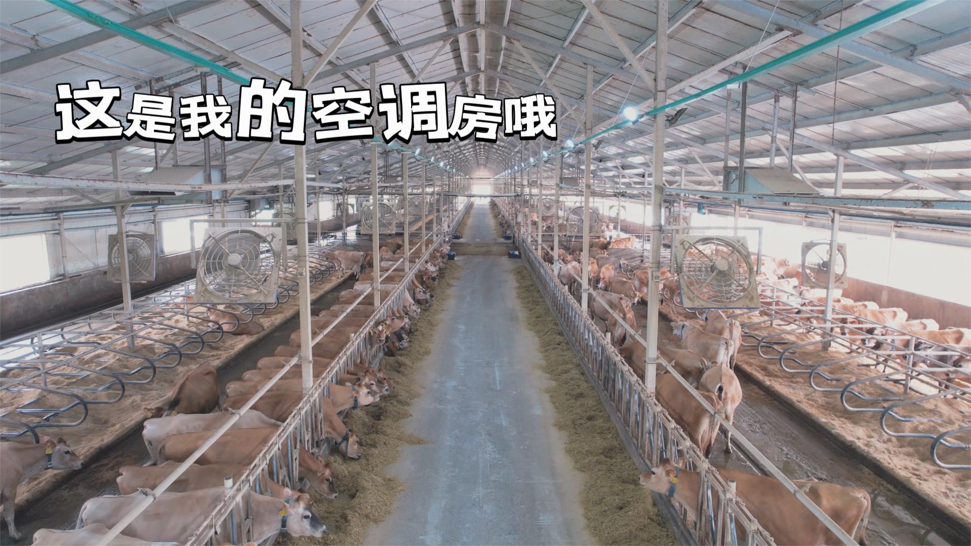 万家宝娟姗牛的自我介绍