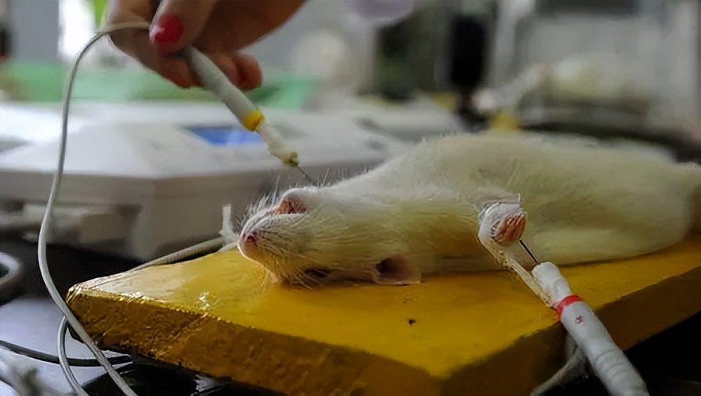 骨康胶囊治阴虚还是阳虚,骨康胶囊对骨质疏松有用吗