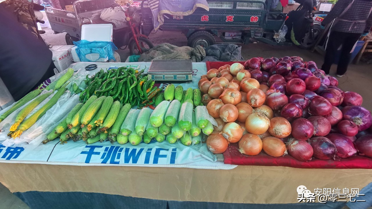 安阳懂生活的人，都在这里…
