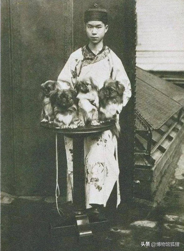 慈禧赠给英女王一条小狗？相反，这是英军从圆明园死者身边抢来的