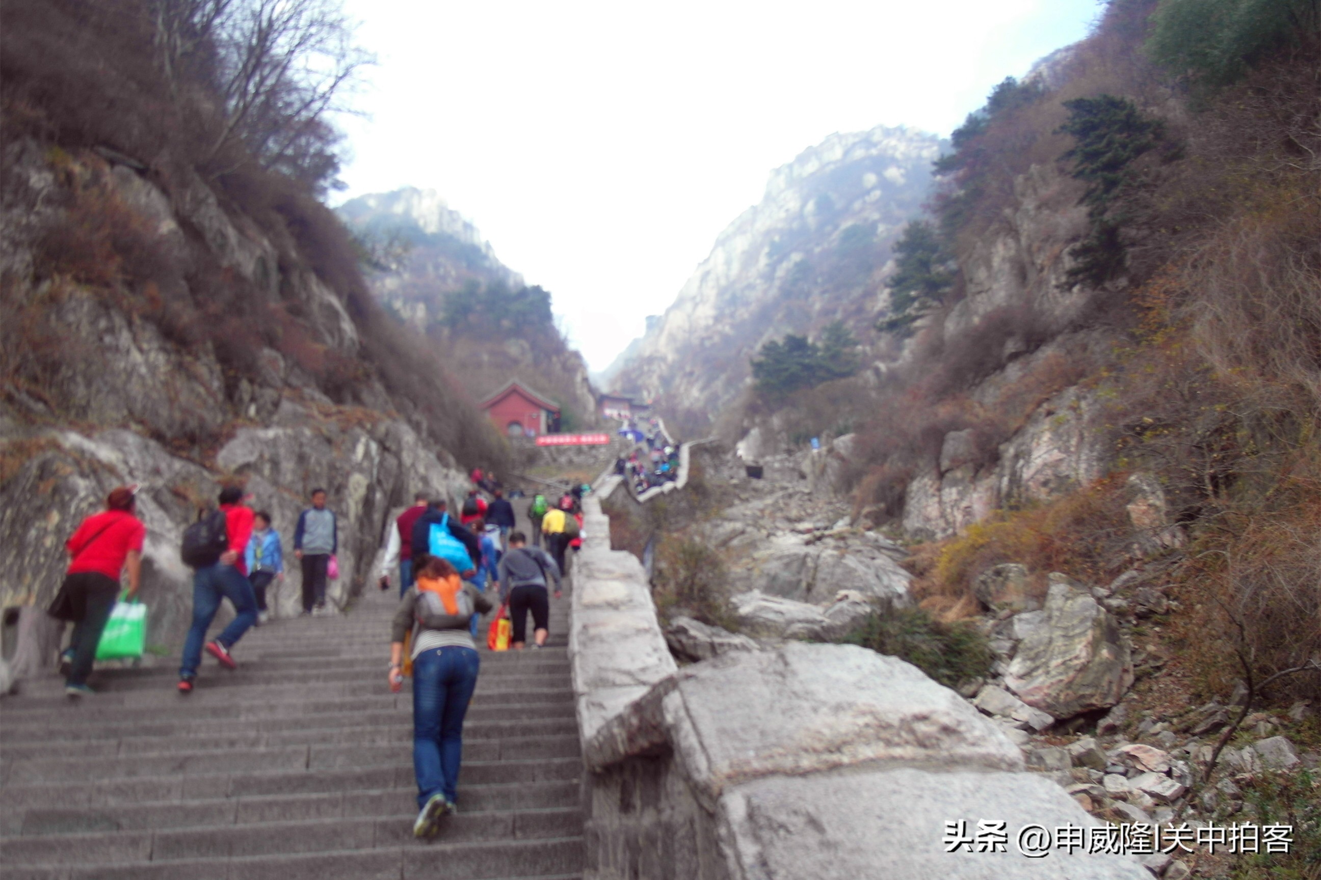 登泰山玉皇顶风景,登泰山顶看美景