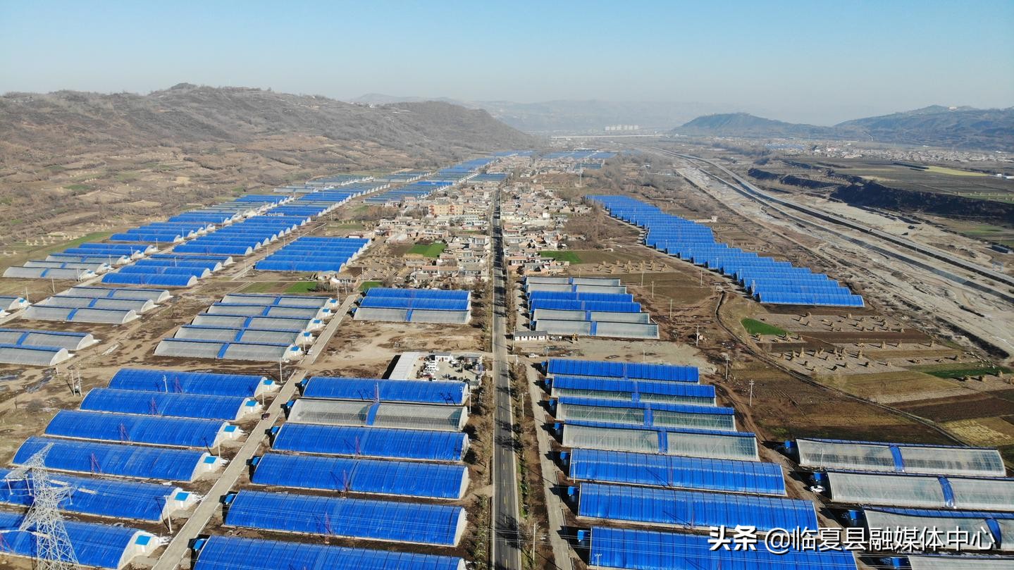 聚宝温室大棚,聚宝棚