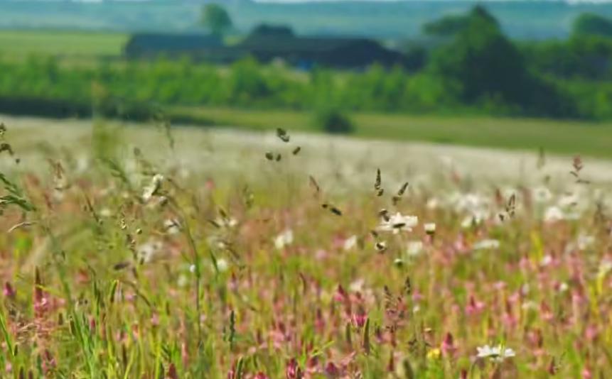 英国富豪农场纪录片,英国富豪农场主纪录片