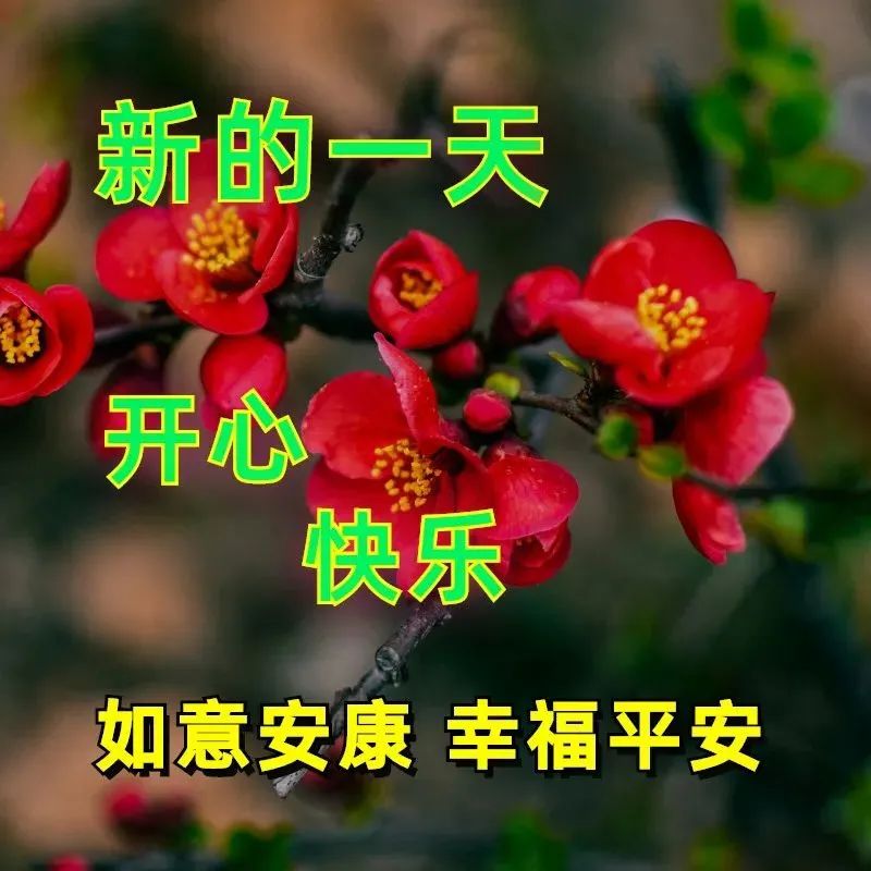 经典早安心语语录大集合36句,经典早安心语语录集锦55条