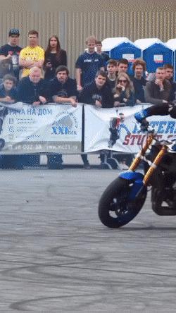 80个神奇的真实照片，不高兴的狗子，崎岖的铁路，倒立劈叉拉筋