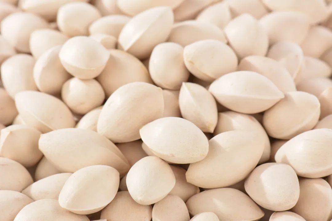 银杏树几千年,银杏树资料和作用