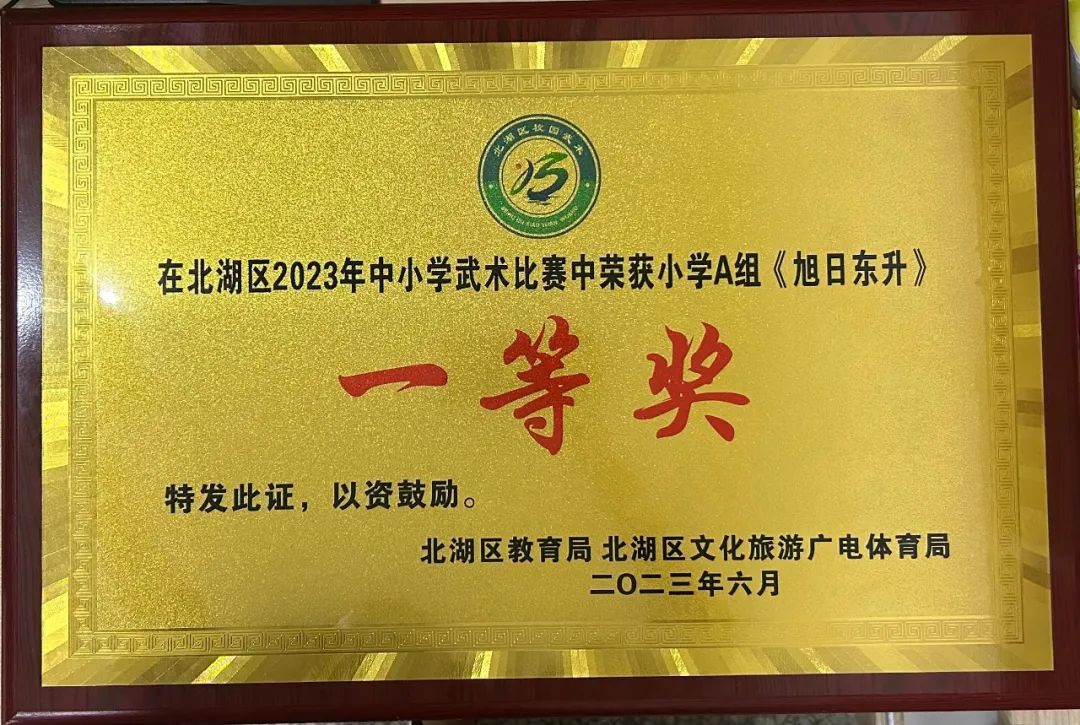 南燕小学,郴州市南燕小学成绩排名