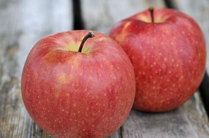 长期早上吃苹果会伤胃吗,肚子饿吃苹果会伤胃吗为什么呢