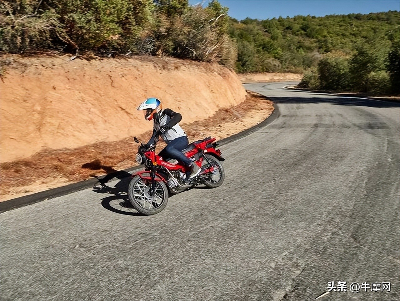 本田幼兽ct125的优点在哪,幼兽ct125的越野版和标准版