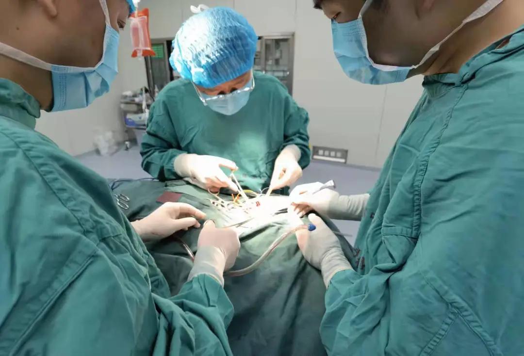 颈动脉剥脱术郑大五附院,中国医大一院颈动脉剥脱术