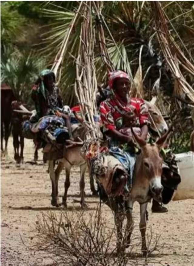 山海经2012白话全译彩图版pdf,山海经海外西经是指哪里