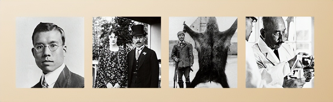 日本威士忌掉价原因,日本威士忌为什么火起来了