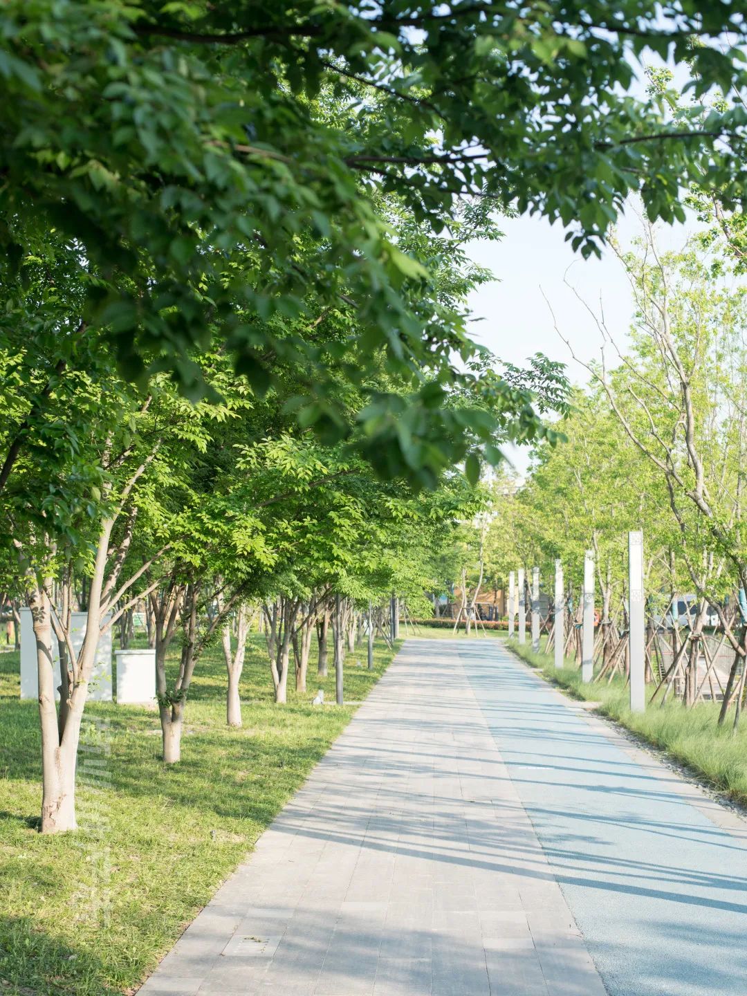 CRR百图斩｜公园里的新天地：上海蟠龙天地