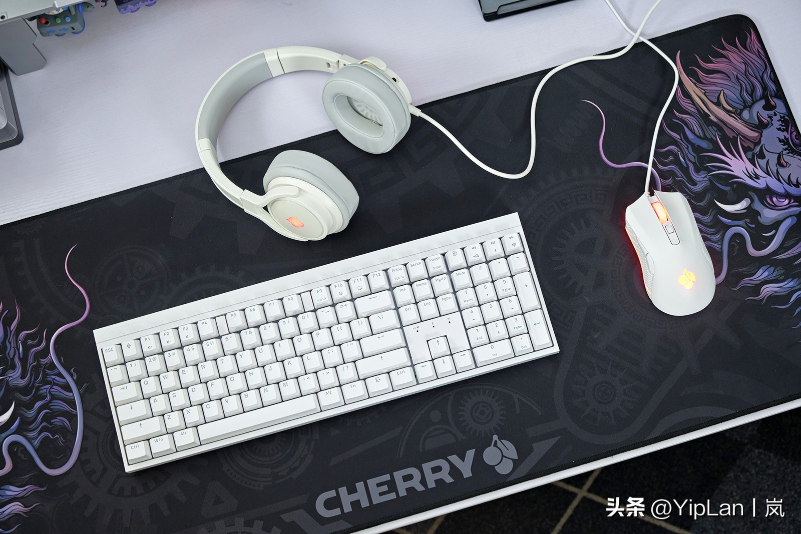cherry澶栬鎺ㄨ崘,cherry澶栬鍜嬫牱