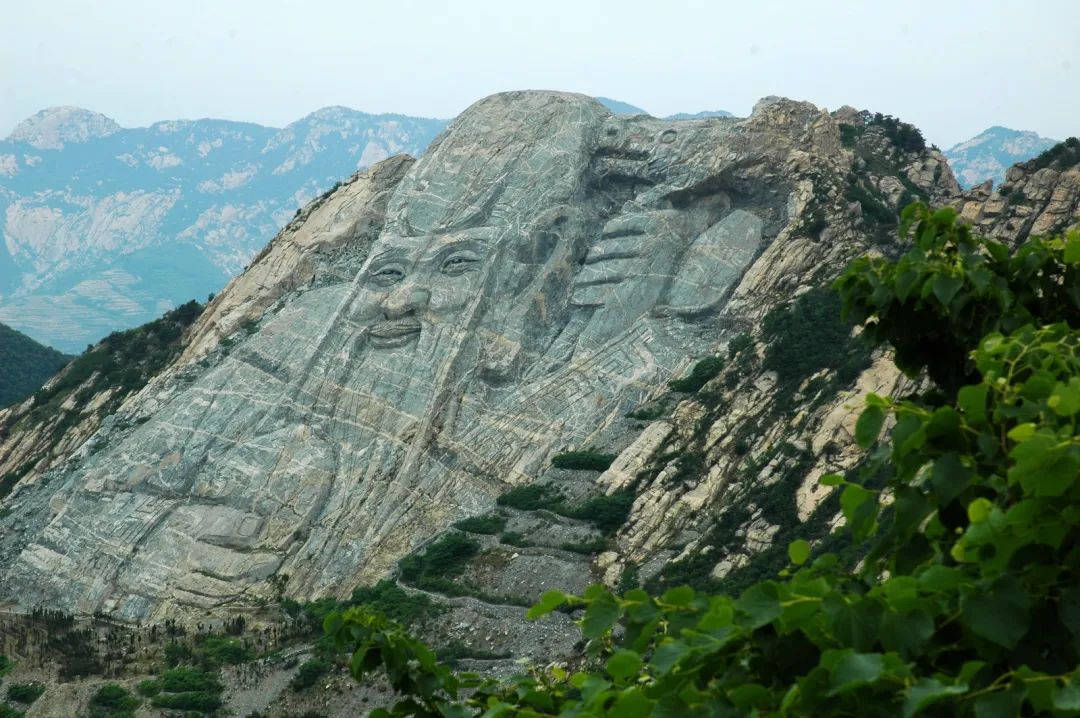 卫康品牌,纵览文化传播