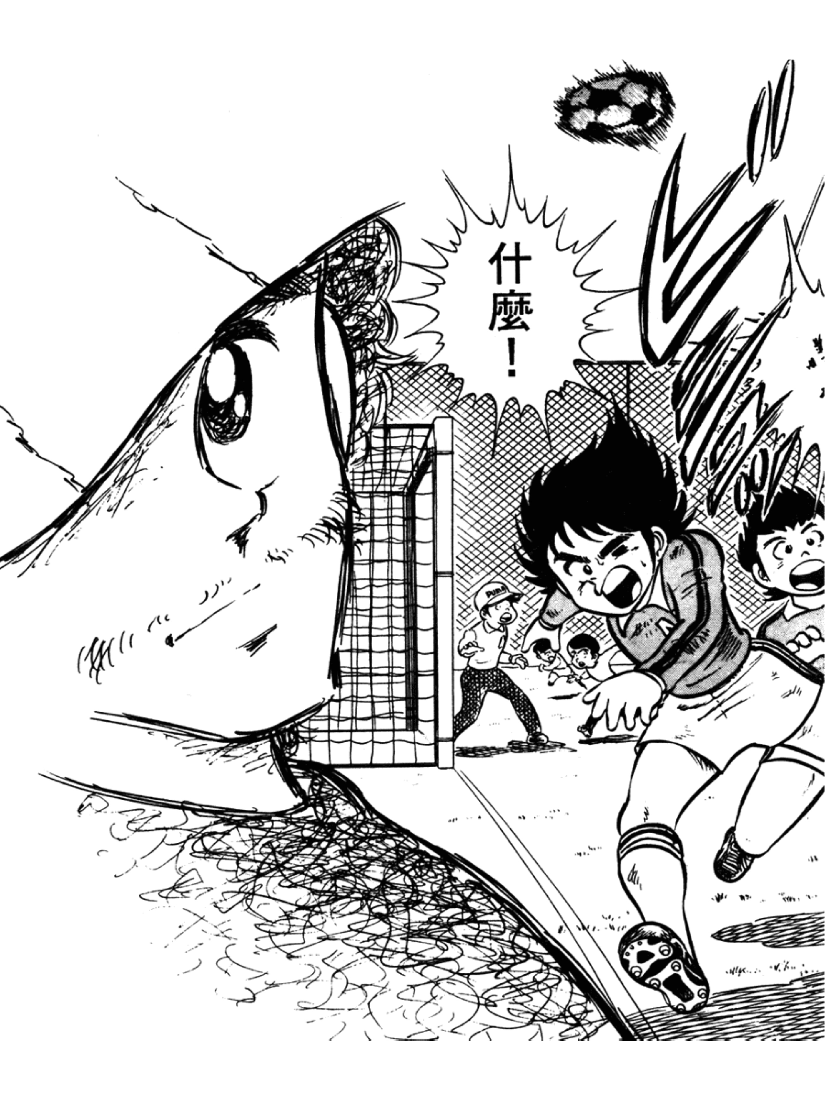 足球小将小学篇南葛全体队员出击,足球小将小学篇