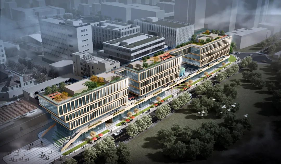 上海新社交,新社交