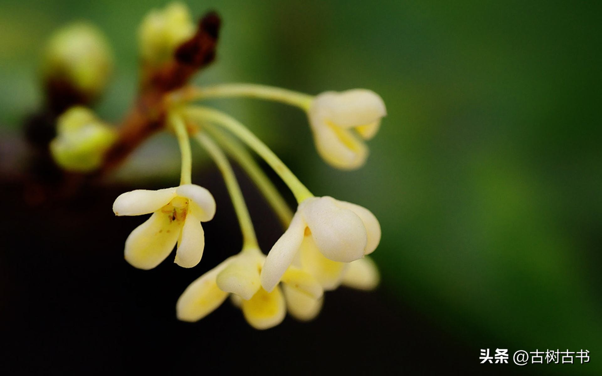 不是你的错怎么原谅,不是你的错谁也无法改变
