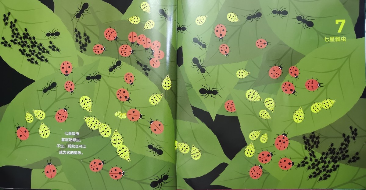 绘本和我一起数星星,儿童绘本推荐3-6岁星星主题